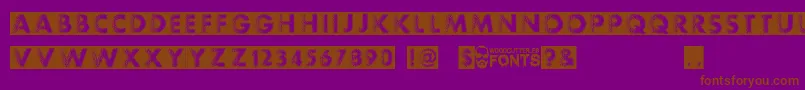 Experimento Font – Brown Fonts on Purple Background