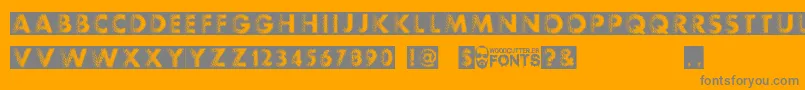 Experimento Font – Gray Fonts on Orange Background