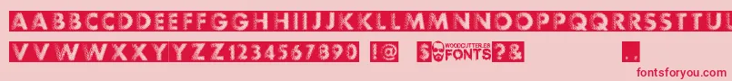 Experimento Font – Red Fonts on Pink Background