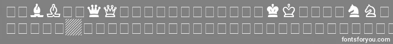 フォントChessSsi – 灰色の背景に白い文字