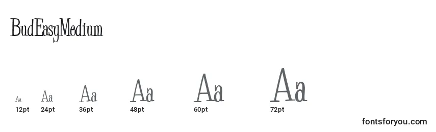 BudEasyMedium Font Sizes