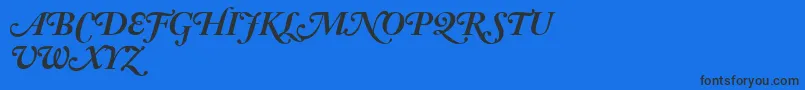 AdobeCaslonBoldItalicSwash Font – Black Fonts on Blue Background