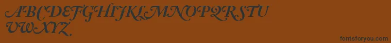 AdobeCaslonBoldItalicSwash Font – Black Fonts on Brown Background