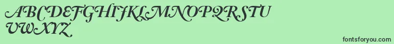 AdobeCaslonBoldItalicSwash Font – Black Fonts on Green Background