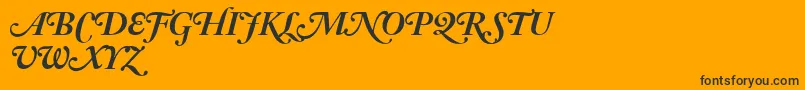 AdobeCaslonBoldItalicSwash Font – Black Fonts on Orange Background