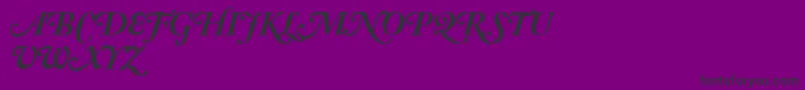 AdobeCaslonBoldItalicSwash Font – Black Fonts on Purple Background