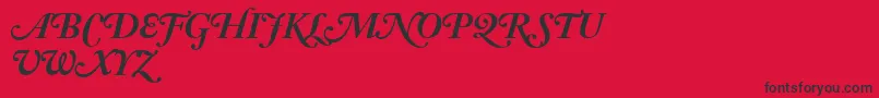 AdobeCaslonBoldItalicSwash Font – Black Fonts on Red Background