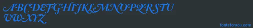 AdobeCaslonBoldItalicSwash Font – Blue Fonts on Black Background