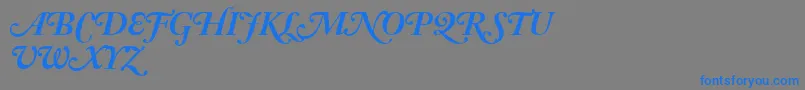 AdobeCaslonBoldItalicSwash Font – Blue Fonts on Gray Background