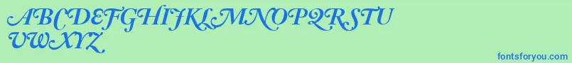 AdobeCaslonBoldItalicSwash Font – Blue Fonts on Green Background