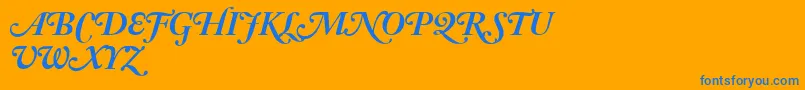AdobeCaslonBoldItalicSwash Font – Blue Fonts on Orange Background