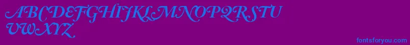 AdobeCaslonBoldItalicSwash Font – Blue Fonts on Purple Background