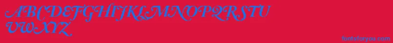 AdobeCaslonBoldItalicSwash Font – Blue Fonts on Red Background