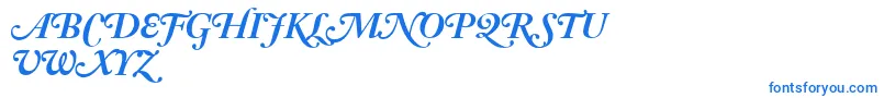 AdobeCaslonBoldItalicSwash Font – Blue Fonts