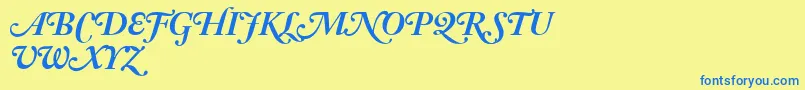 AdobeCaslonBoldItalicSwash Font – Blue Fonts on Yellow Background