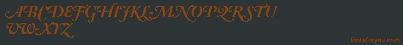 AdobeCaslonBoldItalicSwash Font – Brown Fonts on Black Background