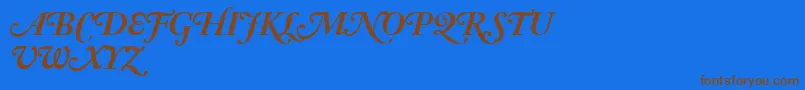 AdobeCaslonBoldItalicSwash Font – Brown Fonts on Blue Background