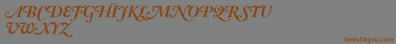 フォントAdobeCaslonBoldItalicSwash – 茶色の文字が灰色の背景にあります。