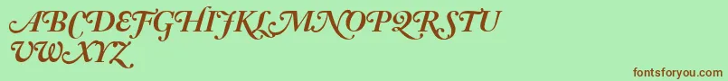 AdobeCaslonBoldItalicSwash Font – Brown Fonts on Green Background