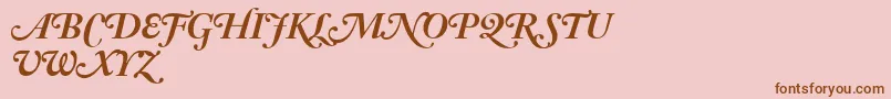 AdobeCaslonBoldItalicSwash Font – Brown Fonts on Pink Background