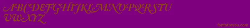 AdobeCaslonBoldItalicSwash Font – Brown Fonts on Purple Background