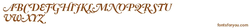 AdobeCaslonBoldItalicSwash-Schriftart – Braune Schriften auf weißem Hintergrund