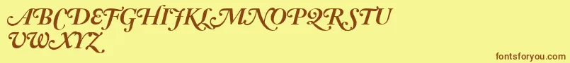 AdobeCaslonBoldItalicSwash Font – Brown Fonts on Yellow Background