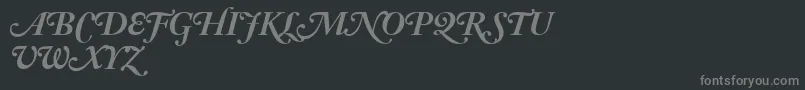 AdobeCaslonBoldItalicSwash Font – Gray Fonts on Black Background