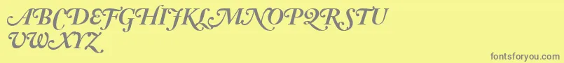 AdobeCaslonBoldItalicSwash Font – Gray Fonts on Yellow Background