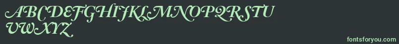 AdobeCaslonBoldItalicSwash Font – Green Fonts on Black Background