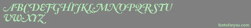 AdobeCaslonBoldItalicSwash Font – Green Fonts on Gray Background