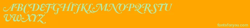 AdobeCaslonBoldItalicSwash Font – Green Fonts on Orange Background