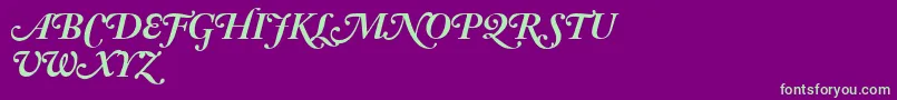 AdobeCaslonBoldItalicSwash Font – Green Fonts on Purple Background