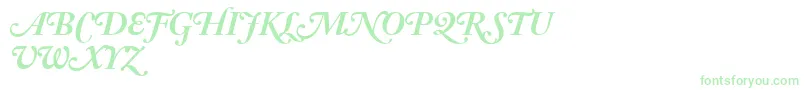 AdobeCaslonBoldItalicSwash Font – Green Fonts