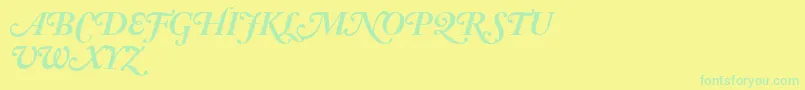 AdobeCaslonBoldItalicSwash Font – Green Fonts on Yellow Background