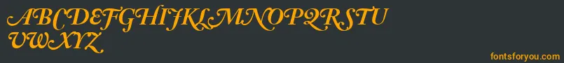 AdobeCaslonBoldItalicSwash Font – Orange Fonts on Black Background