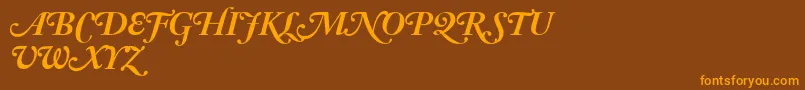 AdobeCaslonBoldItalicSwash Font – Orange Fonts on Brown Background