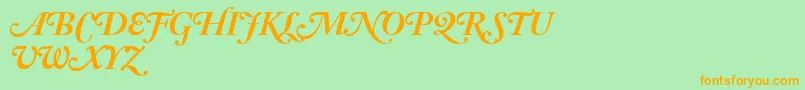 AdobeCaslonBoldItalicSwash Font – Orange Fonts on Green Background