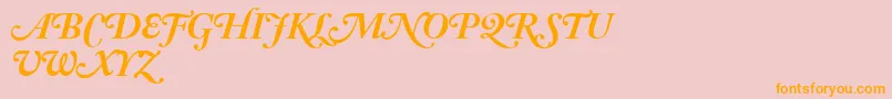 AdobeCaslonBoldItalicSwash Font – Orange Fonts on Pink Background