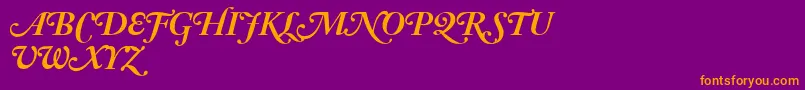 AdobeCaslonBoldItalicSwash Font – Orange Fonts on Purple Background