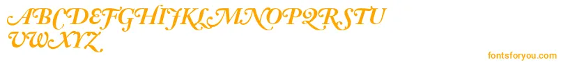 AdobeCaslonBoldItalicSwash Font – Orange Fonts on White Background