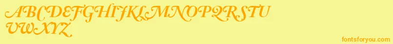 AdobeCaslonBoldItalicSwash Font – Orange Fonts on Yellow Background