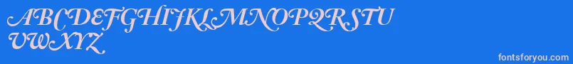 AdobeCaslonBoldItalicSwash Font – Pink Fonts on Blue Background
