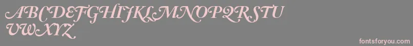AdobeCaslonBoldItalicSwash Font – Pink Fonts on Gray Background