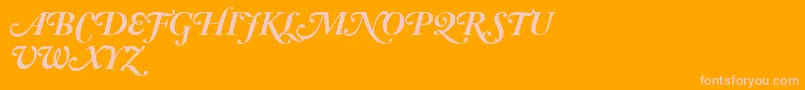 AdobeCaslonBoldItalicSwash Font – Pink Fonts on Orange Background