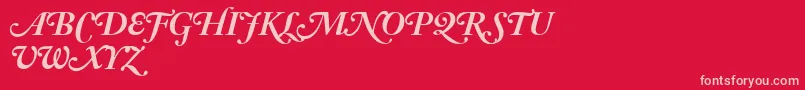 AdobeCaslonBoldItalicSwash Font – Pink Fonts on Red Background