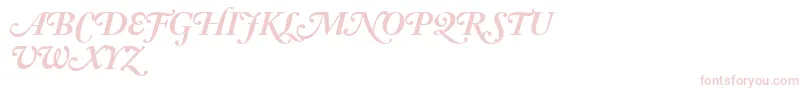 AdobeCaslonBoldItalicSwash Font – Pink Fonts