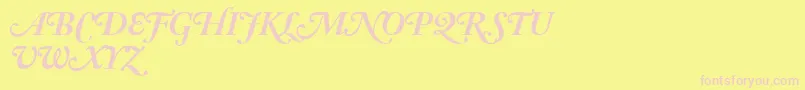 Czcionka AdobeCaslonBoldItalicSwash – różowe czcionki na żółtym tle