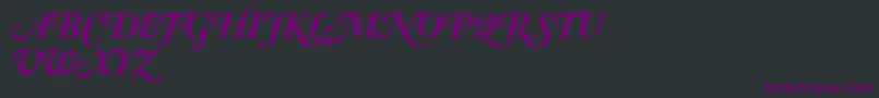 AdobeCaslonBoldItalicSwash Font – Purple Fonts on Black Background