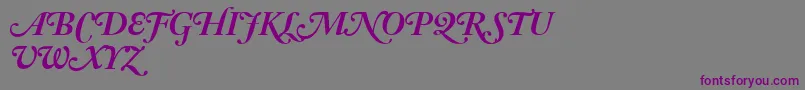 フォントAdobeCaslonBoldItalicSwash – 紫色のフォント、灰色の背景